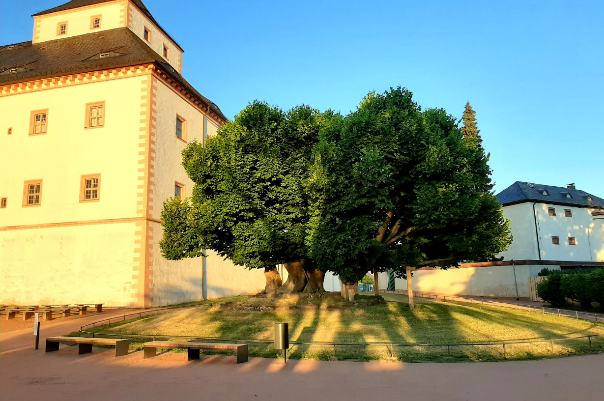 Lindengarten im Schloß, Augustusburg